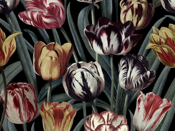 Detailansicht der Selected Walls Tapete Venlo Tulip Bouquet Wallpaper Col. 01
