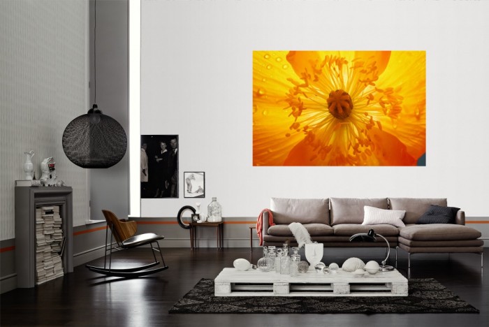 Die Fototapete Mohn Blume in Gelb als Wandbild im Wohnzimmer. Die Vlies-Fototapete Mohn Blume in Gelb verschönert als Wandbild Deine Wand.