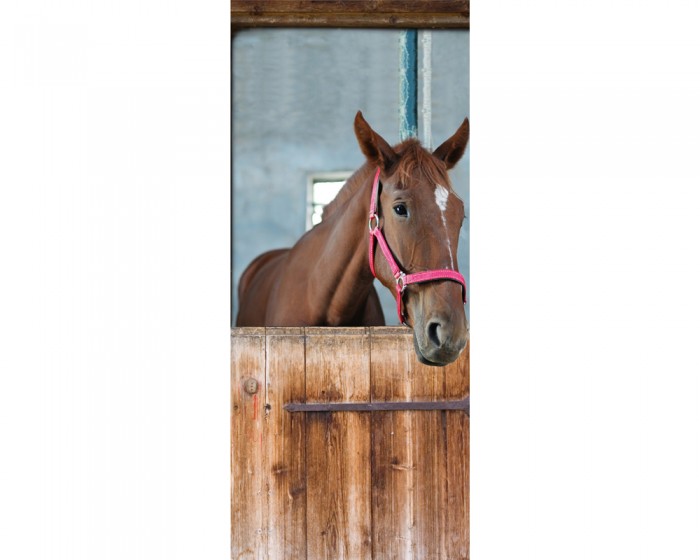 Du möchtest die selbstklebende Türtapete Pferd im Stall online bestellen, aber die Maße passen nicht auf Deine Tür? Kontaktiere uns einfach!