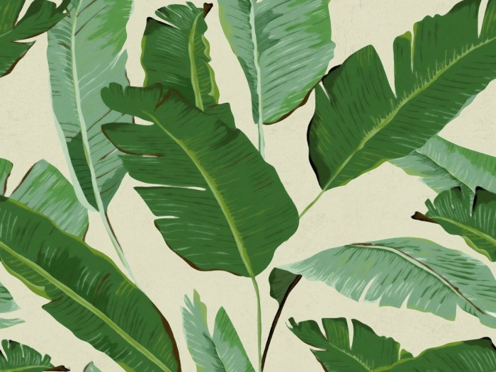 Detailansicht der Selected Walls Tapete Managua Banana Leafs Wallpaper Col. 01