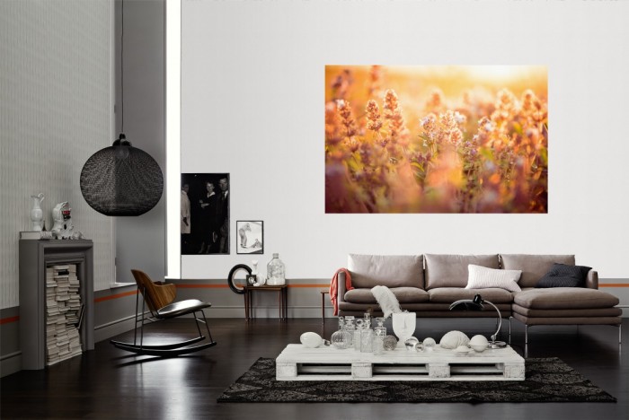 Die Fototapete Salbeipflanzen im Sonnenschein als Wandbild im Wohnzimmer. Die Vlies-Fototapete Salbeipflanzen im Sonnenschein verschönert als Wandbild Deine Wand.