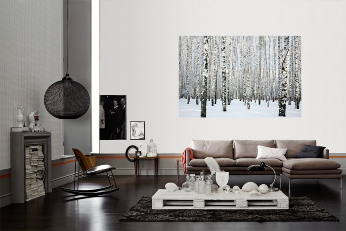 Die Fototapete Birkenwald im Schnee als Wandbild im Wohnzimmer. Die Vlies-Fototapete Birkenwald im Schnee verschönert als Wandbild Deine Wand.