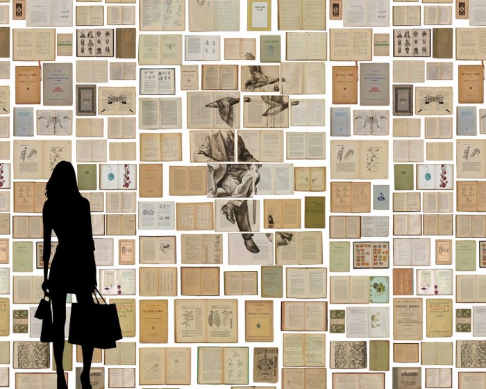 Flächenansicht der NLXL Tapete EKA-01 Biblioteca von Ekaterina Panikanova.