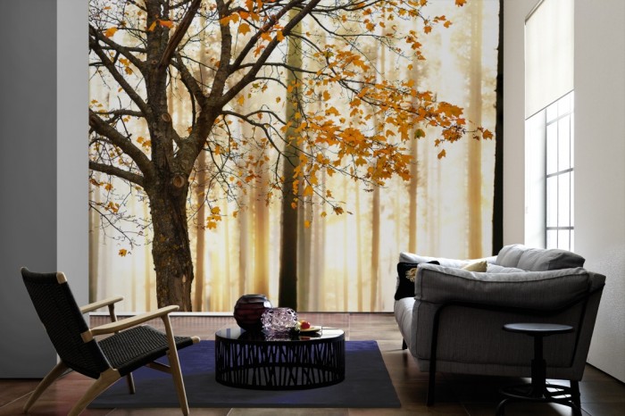 Im Wohnzimmer die Fototapete Baum im Herbst bei Sonnenschein auf einer großen Wand tapeziert. Die Fototapete Baum im Herbst bei Sonnenschein ist als Vlies-Fototapete im Wohnzimmer leicht zu tapezieren.