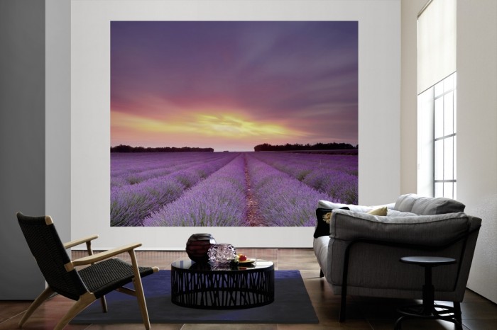Die Fototapete Lavendel Feld bei Sonnenuntergang, Frankreich als große Bildtapete im Wohnzimmer. Als Bildtapete ist die Fototapete Lavendel Feld bei Sonnenuntergang, Frankreich ein besonderes Highlight auf Vliestapete.