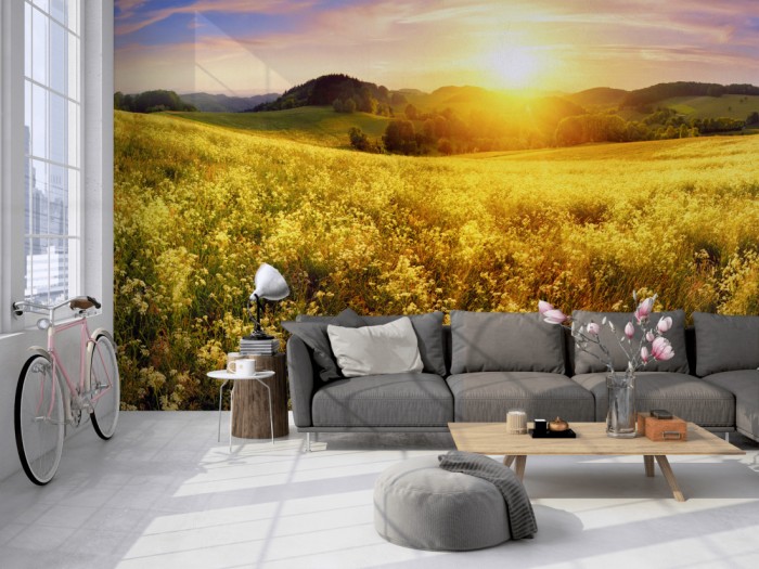 Die Fototapete Natur Panorama im Sonnenuntergang auf einer großen Wand im Loft tapeziert. Die Fototapete Natur Panorama im Sonnenuntergang wird individuell auf Deine Wand angepasst.