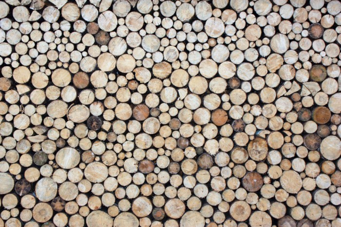 Die Fototapete Holz Wand, helle Baumstämme, eine Vlies-Fototapete bei Livingwalls Cologne online kaufen. Die Fototapete Holz Wand, helle Baumstämme ist eine Fototapete auf Maß.