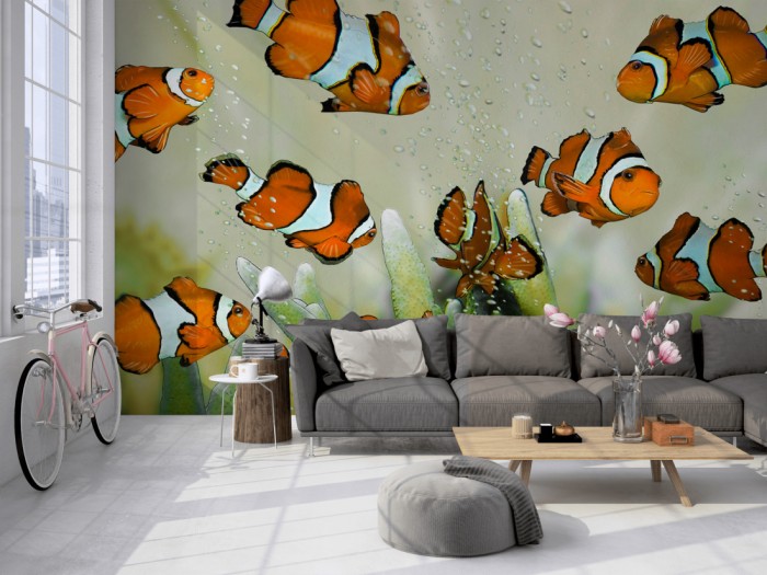 Die Fototapete Fische im Aquarium, Clownfische auf einer großen Wand im Loft tapeziert. Die Fototapete Fische im Aquarium, Clownfische wird individuell auf Deine Wand angepasst.