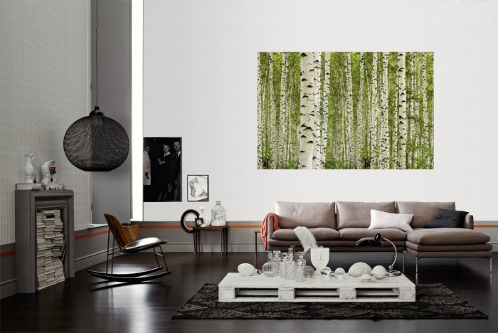 Die Fototapete Birkenwald im Sommer als Wandbild im Wohnzimmer. Die Vlies-Fototapete Birkenwald im Sommer verschönert als Wandbild Deine Wand.