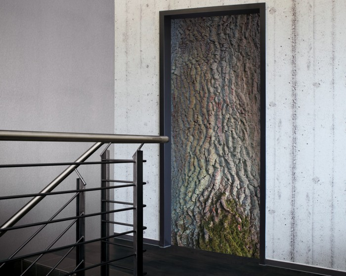 Ein Foto von der selbstklebenden Türtapete Baumstamm tapeziert auf einer Tür. Bestelle Deine Türtapete online.