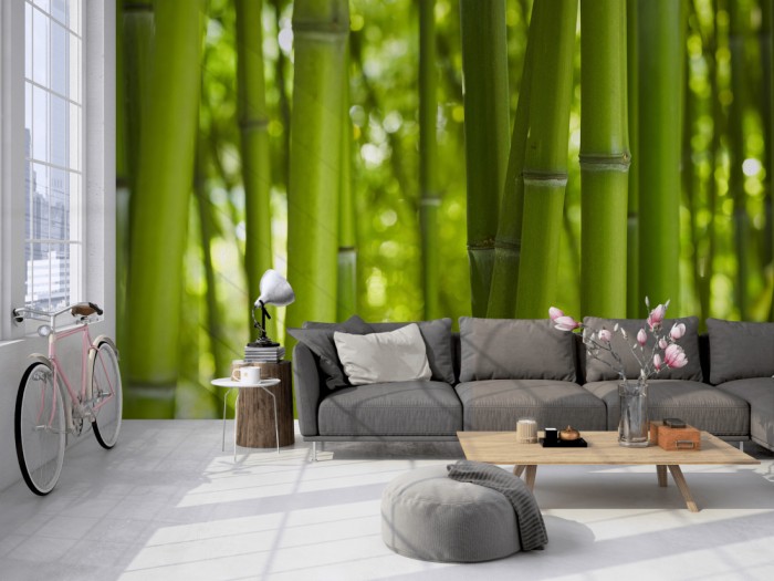 Die Fototapete Bambus Wald im Sonnenschein auf einer großen Wand im Loft tapeziert. Die Fototapete Bambus Wald im Sonnenschein wird individuell auf Deine Wand angepasst.