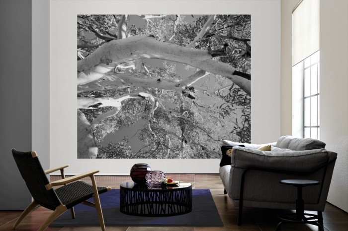 Die Fototapete Baumkrone, schwarz-weiß als große Bildtapete im Wohnzimmer. Als Bildtapete ist die Fototapete Baumkrone, schwarz-weiß ein besonderes Highlight auf Vliestapete.