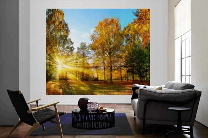 Die Fototapete Waldlichtung im Herbst als große Bildtapete im Wohnzimmer. Als Bildtapete ist die Fototapete Waldlichtung im Herbst ein besonderes Highlight auf Vliestapete.