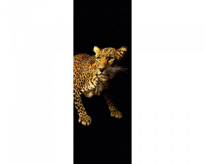 Du möchtest das 3D-Fotopanel Leopard mit Schwarzem Hintergrund online bestellen, aber du benötigst andere Abmessungen? Kontaktiere uns einfach!