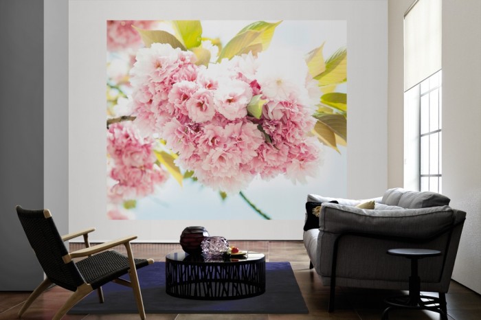 Die Fototapete Kirschblüten im Frühling als große Bildtapete im Wohnzimmer. Als Bildtapete ist die Fototapete Kirschblüten im Frühling ein besonderes Highlight auf Vliestapete.