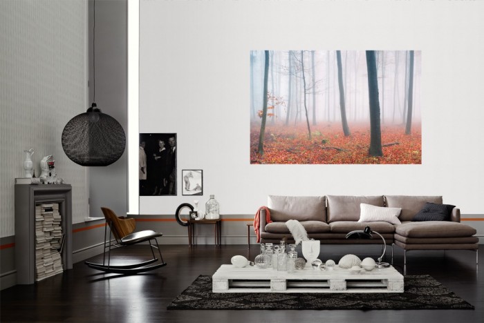 Die Fototapete Wald im Herbstnebel als Wandbild im Wohnzimmer. Die Vlies-Fototapete Wald im Herbstnebel verschönert als Wandbild Deine Wand.