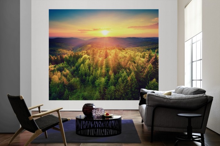 Die Fototapete Sonnenuntergang über dem Wald als große Bildtapete im Wohnzimmer. Als Bildtapete ist die Fototapete Sonnenuntergang über dem Wald ein besonderes Highlight auf Vliestapete.