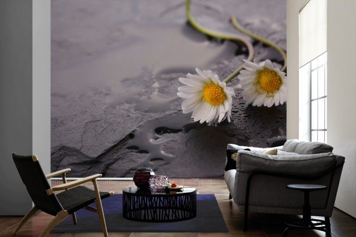 Im Wohnzimmer die Fototapete Kamillenblüten auf Schieferstein auf einer großen Wand tapeziert. Die Fototapete Kamillenblüten auf Schieferstein ist als Vlies-Fototapete im Wohnzimmer leicht zu tapezieren.