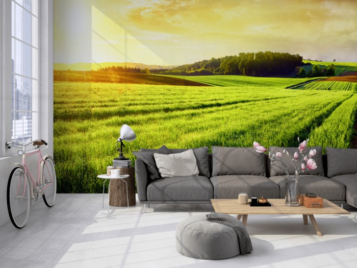 Die Fototapete Gras Landschaft bei Sonnenaufgang auf einer großen Wand im Loft tapeziert. Die Fototapete Gras Landschaft bei Sonnenaufgang wird individuell auf Deine Wand angepasst.
