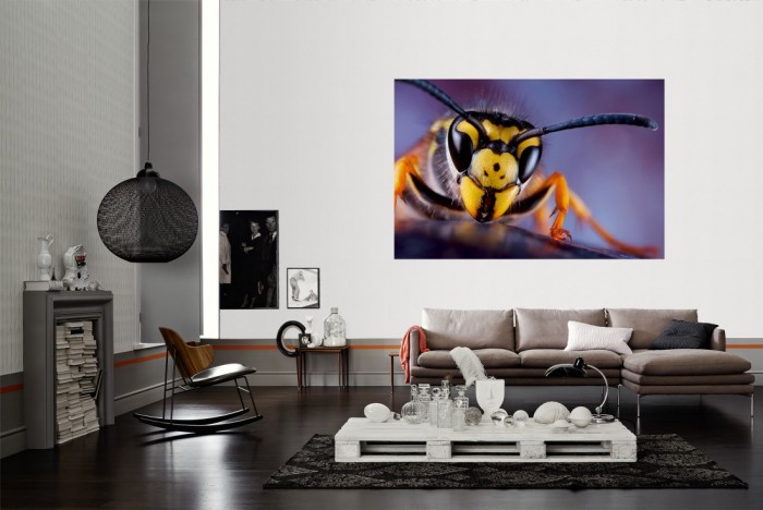 Die Fototapete Wespe im Blick als Wandbild im Wohnzimmer. Die Vlies-Fototapete Wespe im Blick verschönert als Wandbild Deine Wand.