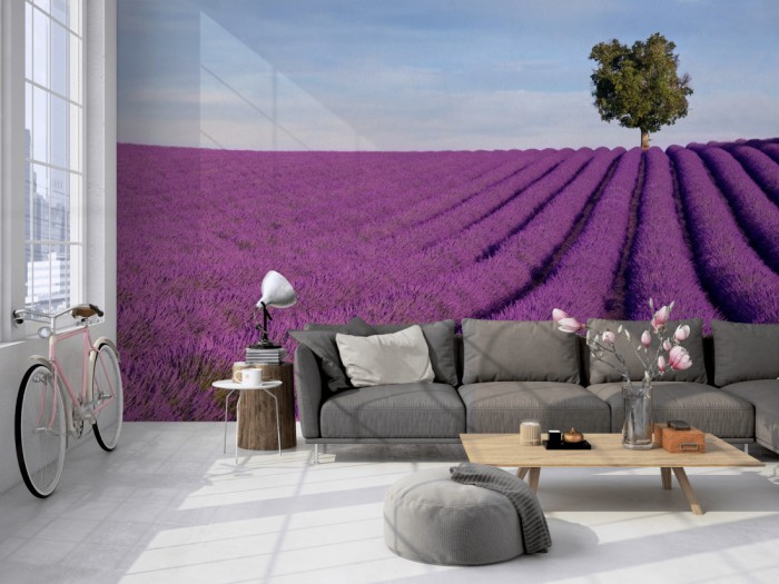 Die Fototapete Dichtes Lavendel Feld, Provence Frankreich auf einer großen Wand im Loft tapeziert. Die Fototapete Dichtes Lavendel Feld, Provence Frankreich wird individuell auf Deine Wand angepasst.