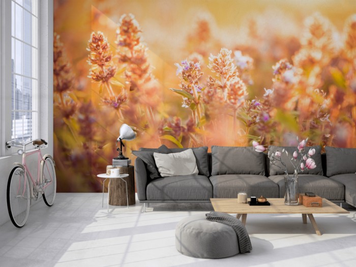 Die Fototapete Salbeipflanzen im Sonnenschein auf einer großen Wand im Loft tapeziert. Die Fototapete Salbeipflanzen im Sonnenschein wird individuell auf Deine Wand angepasst.