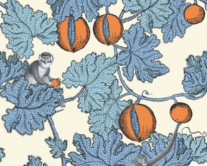 Ansicht der Fornasetti Tapete 114/1003 Frutto Proibito von Cole and Son