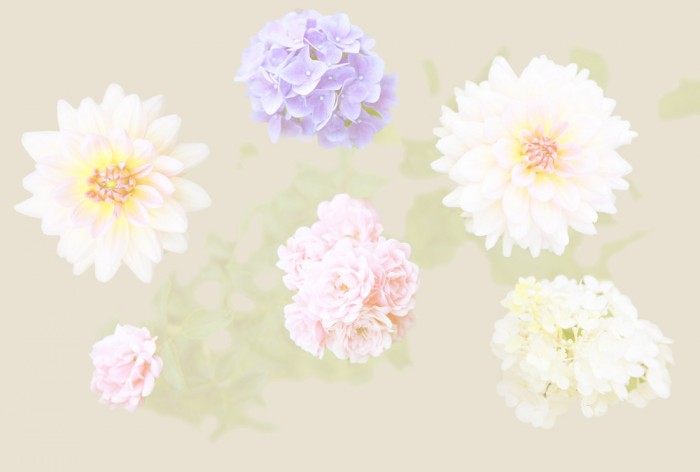 Die Fototapete Blütenmix, hell, eine Vlies-Fototapete bei Livingwalls Cologne online kaufen. Die Fototapete Blütenmix, hell ist eine Fototapete auf Maß.