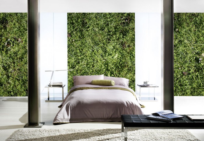 3D-Fototapete Grünes Gras