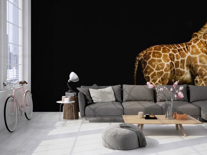 Die Fototapete Giraffe, Fotografie by Mark Laita auf einer großen Wand im Loft tapeziert. Die Fototapete Giraffe, Fotografie by Mark Laita wird individuell auf Deine Wand angepasst.