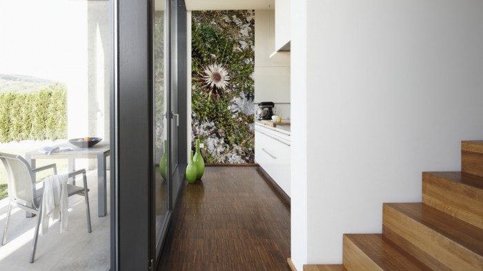 Ein Foto von dem 3D-Fotopanel Wildblume in den Bergen, Alpen tapeziert in der Küche. Bestelle Deine Bildtapete online.