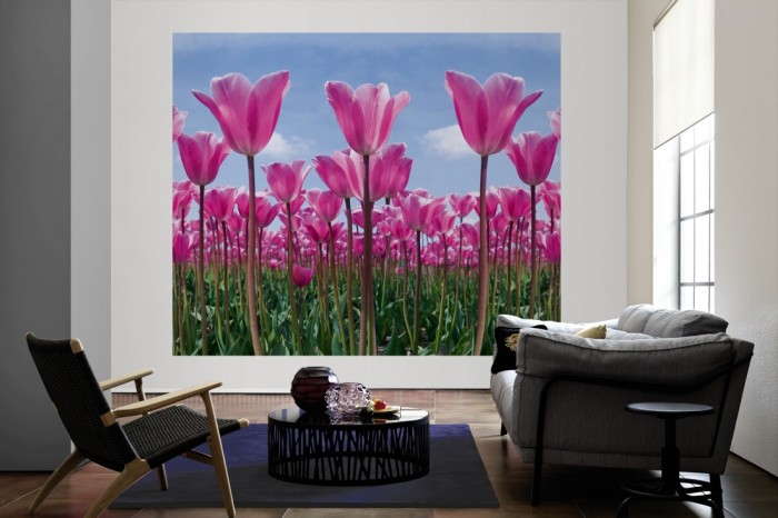 Die Fototapete Tulpen in Pink, Tulpenfeld als große Bildtapete im Wohnzimmer. Als Bildtapete ist die Fototapete Tulpen in Pink, Tulpenfeld ein besonderes Highlight auf Vliestapete.