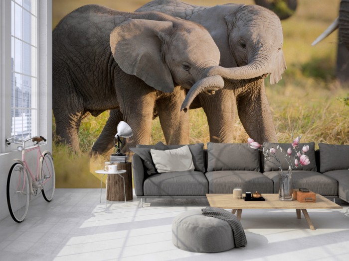 Die Fototapete Elefanten Babys in Kenia auf einer großen Wand im Loft tapeziert. Die Fototapete Elefanten Babys in Kenia wird individuell auf Deine Wand angepasst.