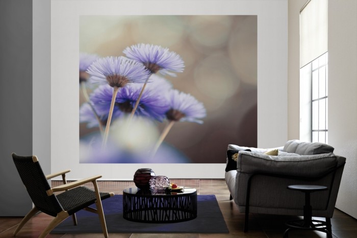 Die Fototapete Wildblumen im Detail als große Bildtapete im Wohnzimmer. Als Bildtapete ist die Fototapete Wildblumen im Detail ein besonderes Highlight auf Vliestapete.