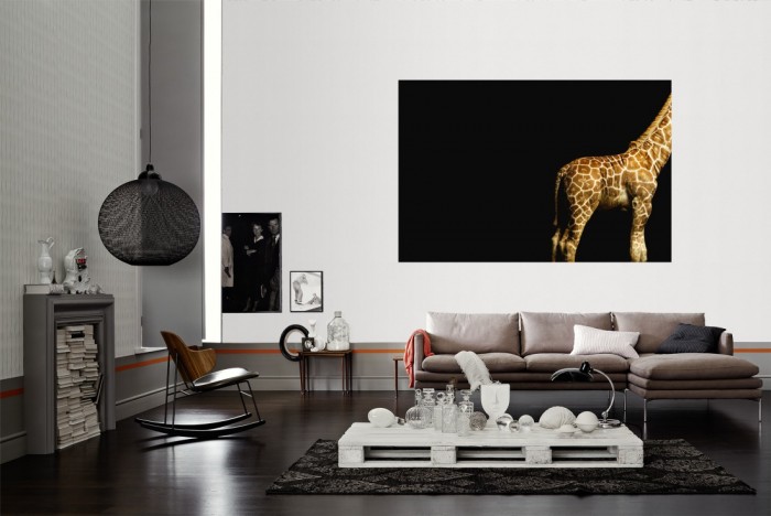 Die Fototapete Giraffe, Fotografie by Mark Laita als Wandbild im Wohnzimmer. Die Vlies-Fototapete Giraffe, Fotografie by Mark Laita verschönert als Wandbild Deine Wand.