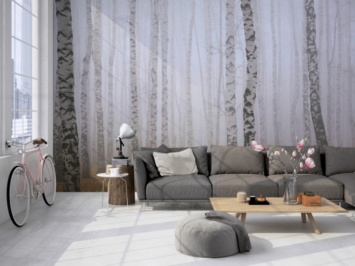 Die Fototapete Birkenwald im Nebel auf einer großen Wand im Loft tapeziert. Die Fototapete Birkenwald im Nebel wird individuell auf Deine Wand angepasst.