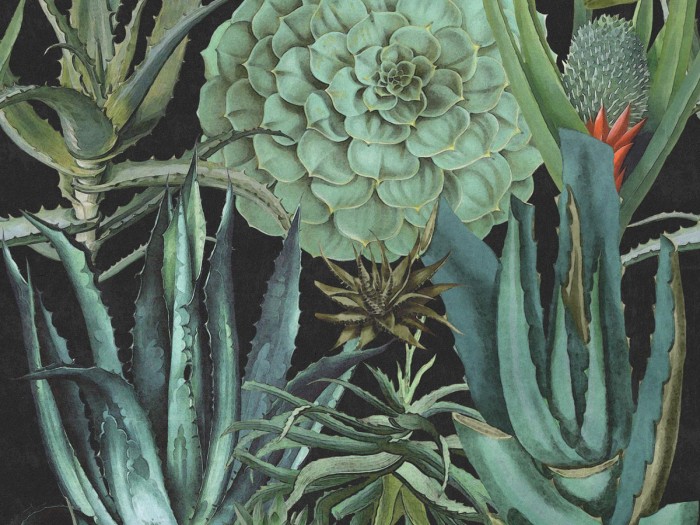 Detailansicht der Selected Walls Tapete San Nicolas Aloe Wallpaper Col. 01