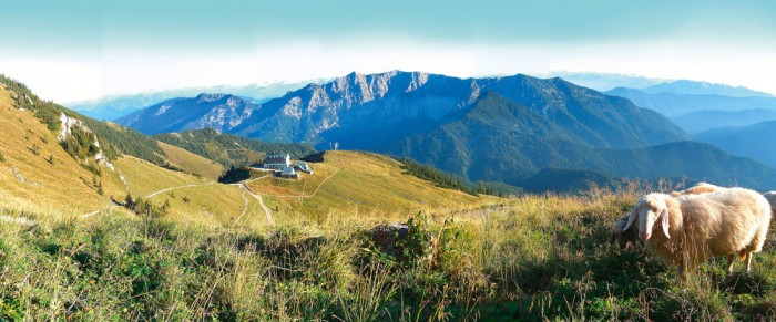 Die Fototapete Bergpanorama in den Alpen, eine Vlies-Fototapete bei Livingwalls Cologne online kaufen. Die Fototapete Bergpanorama in den Alpen ist eine Fototapete auf Maß.