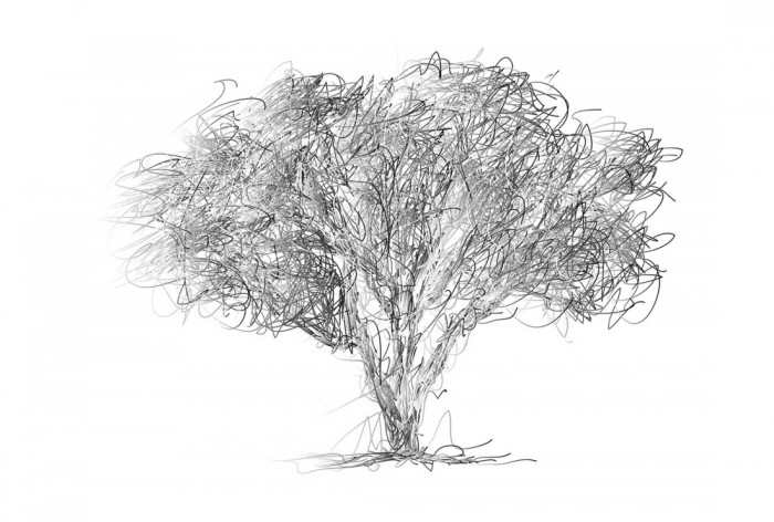 Die Design-Fototapete Zeichnung eines Baumes, eine Vlies-Fototapete bei Livingwalls Cologne online kaufen. Die Design-Fototapete Zeichnung eines Baumes ist eine Fototapete auf Maß.