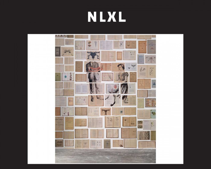 Die NLXL Tapete EKA-04 Biblioteca von Ekaterina Panikanova tapeziert an einer Wand.