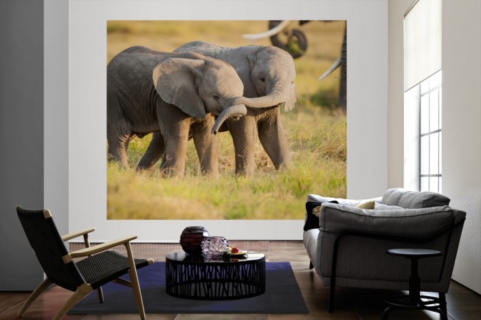 Die Fototapete Elefanten Babys in Kenia als große Bildtapete im Wohnzimmer. Als Bildtapete ist die Fototapete Elefanten Babys in Kenia ein besonderes Highlight auf Vliestapete.