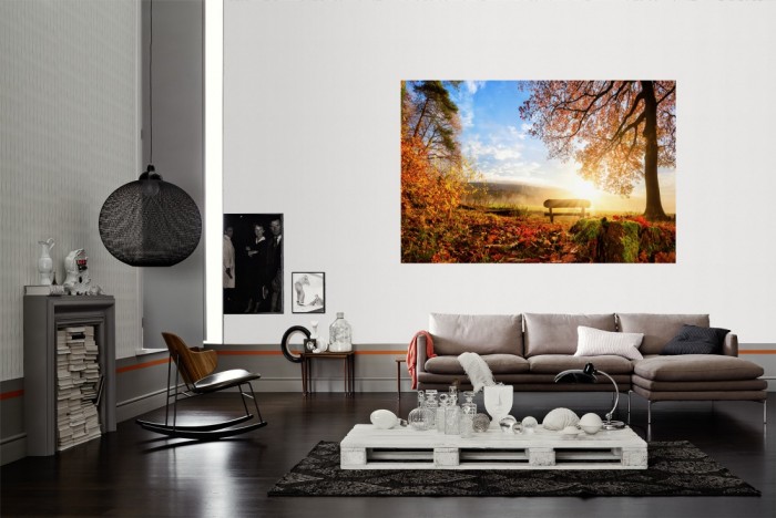 Die Fototapete Wald am Herbstmorgen als Wandbild im Wohnzimmer. Die Vlies-Fototapete Wald am Herbstmorgen verschönert als Wandbild Deine Wand.