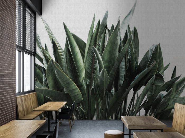 Urban Jungle Wallpaper