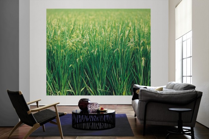 Die Fototapete Gras, Sommerwiese als große Bildtapete im Wohnzimmer. Als Bildtapete ist die Fototapete Gras, Sommerwiese ein besonderes Highlight auf Vliestapete.