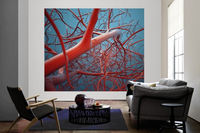 Die Fototapete Blutbahn, der menschliche Körper als große Bildtapete im Wohnzimmer. Als Bildtapete ist die Fototapete Blutbahn, der menschliche Körper ein besonderes Highlight auf Vliestapete.