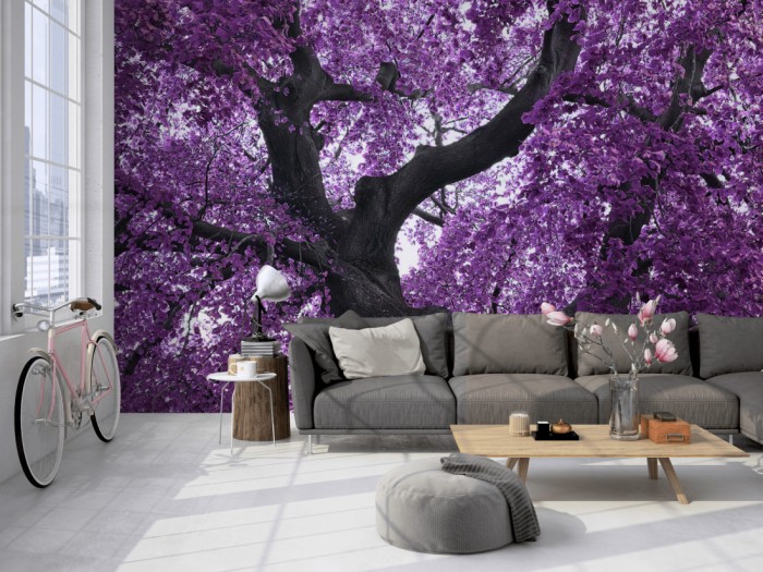 Die Fototapete Violetter Baum bei Blüte, Palisander auf einer großen Wand im Loft tapeziert. Die Fototapete Violetter Baum bei Blüte, Palisander wird individuell auf Deine Wand angepasst.