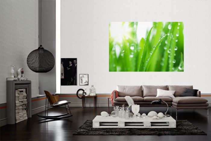 Die Fototapete Gras mit Wassertropfen als Wandbild im Wohnzimmer. Die Vlies-Fototapete Gras mit Wassertropfen verschönert als Wandbild Deine Wand.
