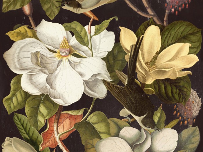 Detailansicht der Selected Walls Tapete Lafayette Magnolia Wallpaper Col. 02