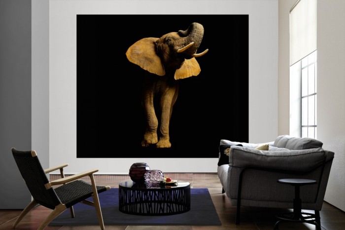 Die Fototapete Elefant von vorne, Fotografie by Mark Laita als große Bildtapete im Wohnzimmer. Als Bildtapete ist die Fototapete Elefant von vorne, Fotografie by Mark Laita ein besonderes Highlight auf Vliestapete.