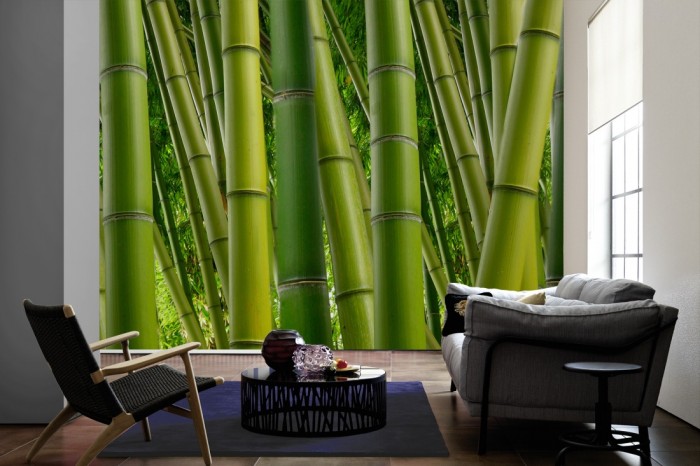 Im Wohnzimmer die Fototapete Bambus Wald auf einer großen Wand tapeziert. Die Fototapete Bambus Wald ist als Vlies-Fototapete im Wohnzimmer leicht zu tapezieren.